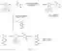 Fig. 07 - Compositions including polymers aligned via interchain interactions