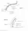 Fig. 02 - ADAPTABLE DEVICE FOR DETECTING AND TREATING DENTAL PATHOLOGIES