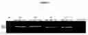 Fig. 02 - Methods and compositions for detecting and identifying species of 