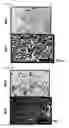Fig. 06 - Method of Screening Antiobesity Agents
