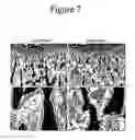 Fig. 08 - PTHRP-BASED PREDICTION AND DIAGNOSIS OF BONE DISEASE