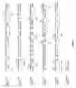 Fig. 02 - Dendritic cell transmembrane serine protease