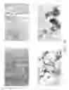 Fig. 08 - Formulation for adenovirus storage