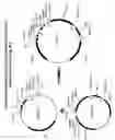 Fig. 09 - Bacterial host cell for the direct expression of peptides