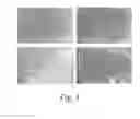 Fig. 02 - Method of isolating cells from umbilical cord