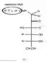 Fig. 02 - Standard reference solutions