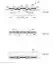 Fig. 05 - Electrical die contact structure and fabrication method