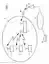 Fig. 02 - Wireless transmission system