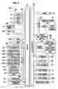 Fig. 06 - Slot machine and playing method thereof