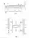Fig. 03 - Procedure and dynamic control system and management of gaming machines