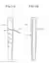 Fig. 09 - GOLF CLUB GRIP