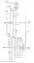 Fig. 01 - HYDROMECHANICAL TRANSMISSION WITH INPUT SUMMER