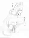 Fig. 02 - Compressive device and carrying compartment for use during exercise