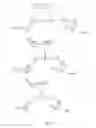 Fig. 15 - Methods and compositions for sequencing a nucleic acid
