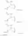 Fig. 17 - Methods and compositions for sequencing a nucleic acid