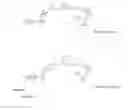 Fig. 19 - Methods and compositions for sequencing a nucleic acid