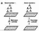 Fig. 01 - Method for multi-color fab labeling of antibodies in a complex sample