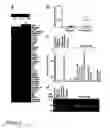 Fig. 04 - Method for multi-color fab labeling of antibodies in a complex sample
