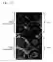Fig. 22 - Microcolumn-platform based array for high-throughput analysis
