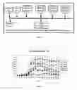 Fig. 02 - Bi-functional peptides for multiple sclerosis treatment and diagnosis