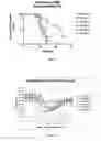 Fig. 03 - Bi-functional peptides for multiple sclerosis treatment and diagnosis