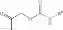 Fig. 07 - Carbonate and carbamate modified forms of glucocorticoids in combination with βadrenergic agonists
