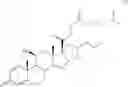 Fig. 09 - Carbonate and carbamate modified forms of glucocorticoids in combination with βadrenergic agonists