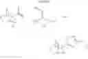 Fig. 09 - Nicotinic Acetylcholine Receptor Ligands