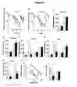 Fig. 02 - Compounds And Methods For Treating Non-Inflammatory Pain Using Ppar Alpha Agonists
