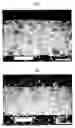 Fig. 01 - Crosslinked Polymer Foam Sheet and Process Therefor