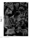 Fig. 02 - Spheronized polymer particles