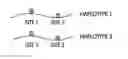 Fig. 01 - Methods and apparati using single polymer analysis