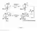 Fig. 28 - Novel Interleukin-1 and Tumor Necrosis Factor-Alpha Modulators, Syntheses of Said Modulators and Their Enantiomers and Methods of Using Said Modulators