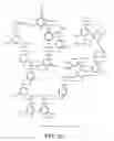 Fig. 04 - Hydrogen production from biomass