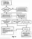 Fig. 19 - Diabetes management system