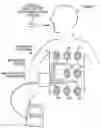 Fig. 01 - Image Display Apparatus