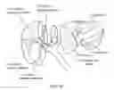Fig. 04 - Method and system for liver lobe segmentation and pre-operative surgical planning