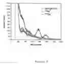 Fig. 06 - Tomography by emission of positrons (PET) system
