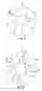 Fig. 04 - Microprotrusion Arrays and Methods for Using Same to Deliver Substances into Tissue