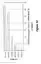 Fig. 12 - STACKED ABSORBENT ARTICLE ASSEMBLY