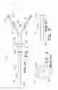 Fig. 02 - Catheter port configuration