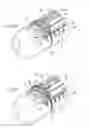 Fig. 07 - Systems and methods for treating dysfunctions in the intestines and rectum that adapt to the anatomic form and structure of different individuals