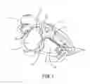 Fig. 02 - Biological pacemaker compositions and systems incorporating interstitial cells of Cajal