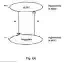 Fig. 09 - METHODS FOR TREATING NEUROLOGICAL DISORDERS, INCLUDING NEUROPSYCHIATRIC AND NEUROPSYCHOLOGICAL DISORDERS, AND ASSOCIATED SYSTEMS