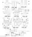 Fig. 06 - Multi-furcated ePTFE grafts and stent-graft prostheses and methods of making the same