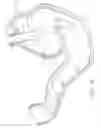 Fig. 06 - Use of biosurgical adhesive on inflatable device for gastric restriction