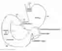 Fig. 01 - Methods of treatment using a bariatric sleeve