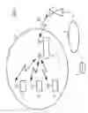 Fig. 02 - Wireless Transmission System
