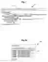 Fig. 09 - Pharmaceutical representative expense report management software, systems, and methodologies
