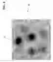 Fig. 09 - Method and system for spatial behavior modification based on geospatial modeling